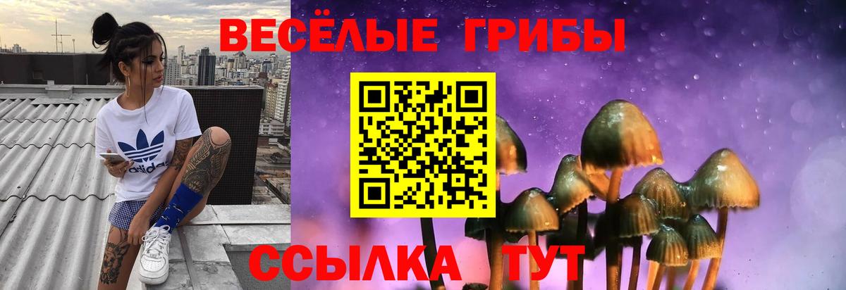 Псилоцибиновые грибы ЛСД  Вход с VPN  Псилоцибиновые грибы прущие грибы  Балашиха 
